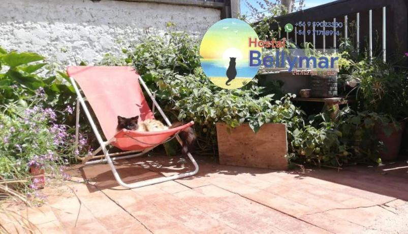 Hostal Bellymar Pichilemu Bagian luar foto